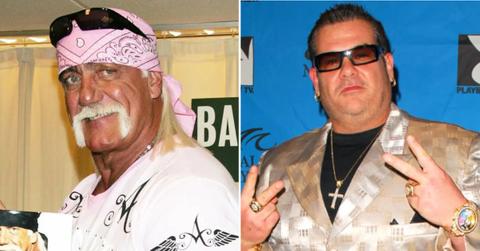 Photo of Hulk Hogan and Bubba the Sponge