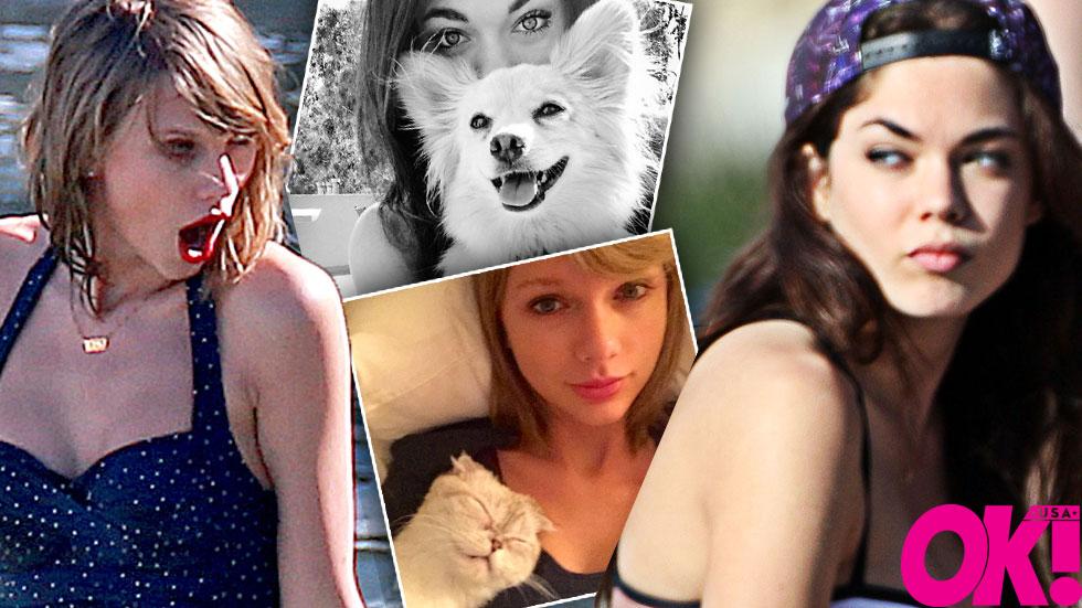 Calvin harris ex girlfriend before taylor swift aarika wolf instagram