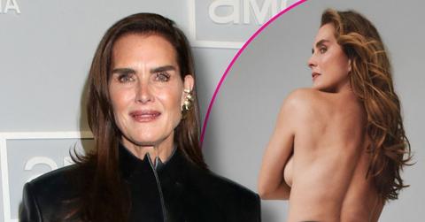 brooke shields topless jeans photo