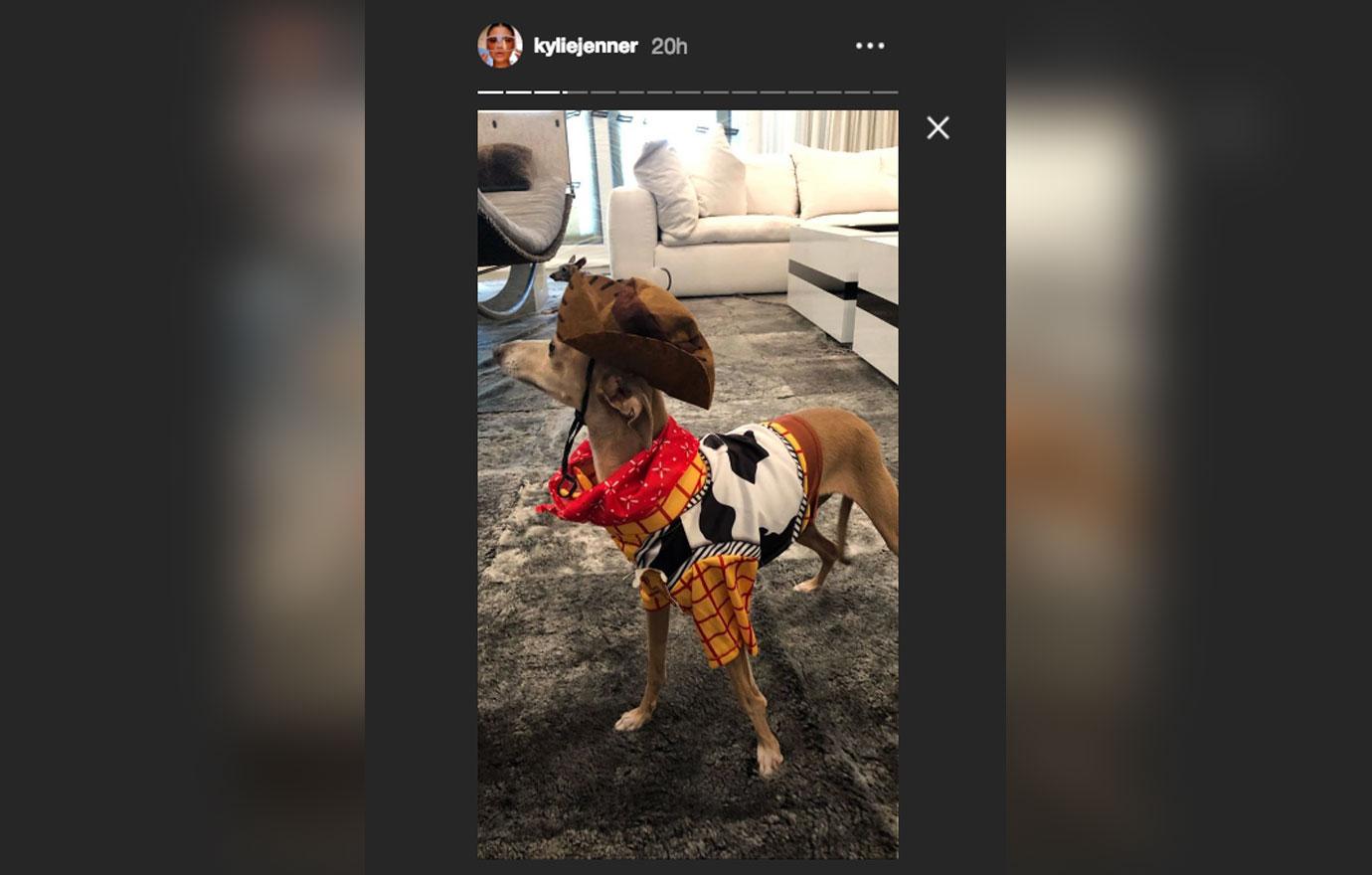 Kylie Jenner Shows Off Her Dogs' Toy Story Costumes
