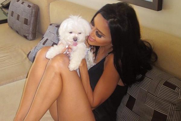 lilly-ghalichi-dog