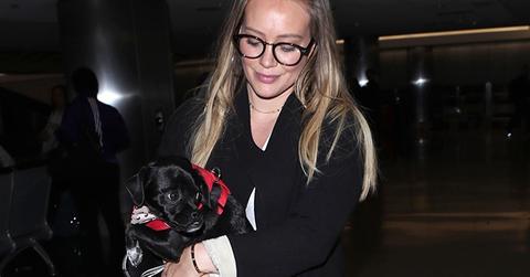 Hilary duff puppy lax airport pics