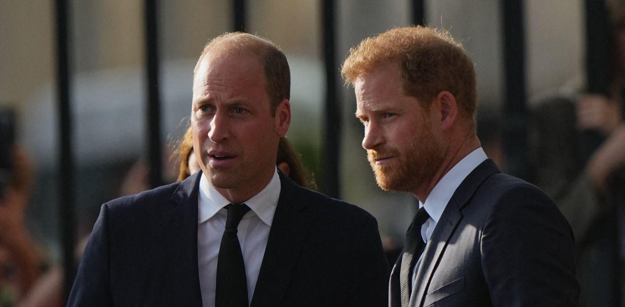 king charles prince william react prince harry role omid scobie book