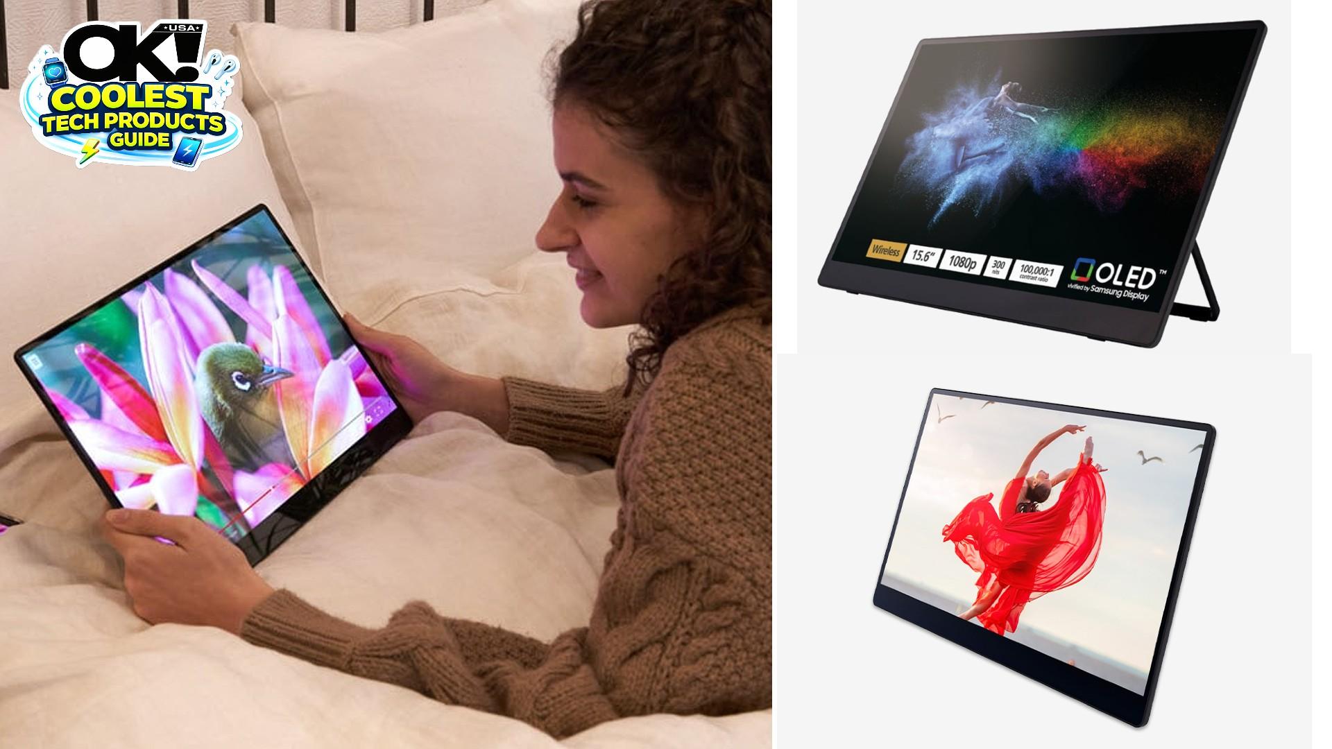 ricoh portable monitor