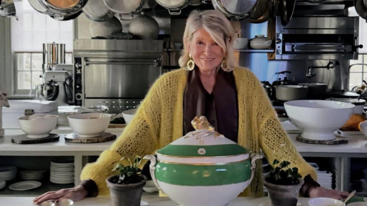 Image of Martha Stewart needed a facial procedure following an incident with a dog.