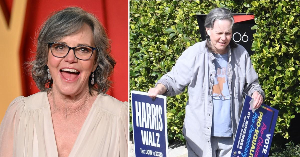 Sally Field Removes Kamala Harris Signs From Lawn Post-Election: Photos