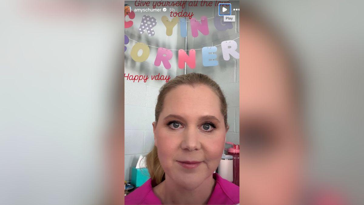 image of Amy Schumer shared a humorous Valentine’s Day post on Instagram.