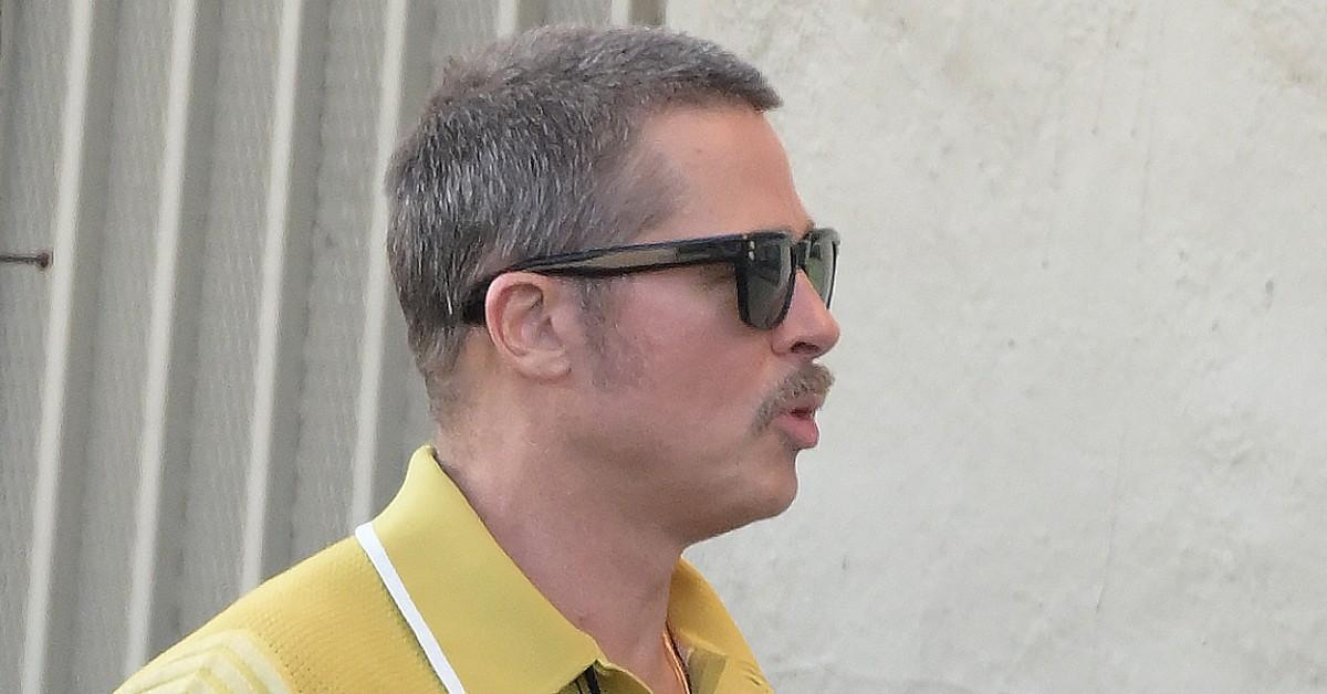 Image of Brad Pitt is dating Ines de Ramon.