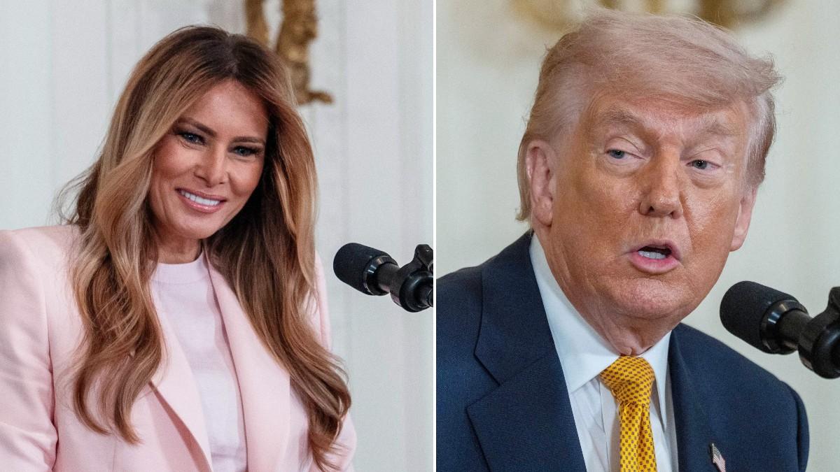 pic of Melania & Donald Trump. 