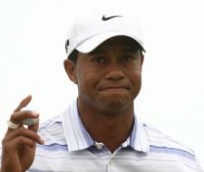 2009__12__tiger1 225×190.jpg