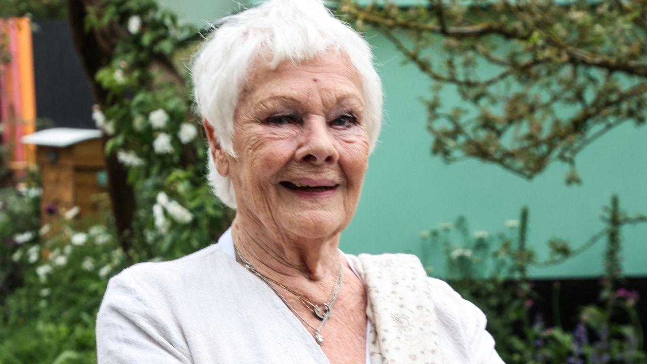 Image of Judi Dench shared she would love to die in a theater dressing room after a glamorous last performance.