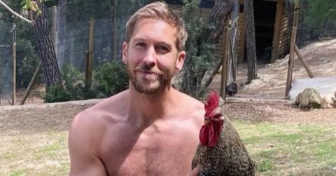 Photo of Calvin Harris