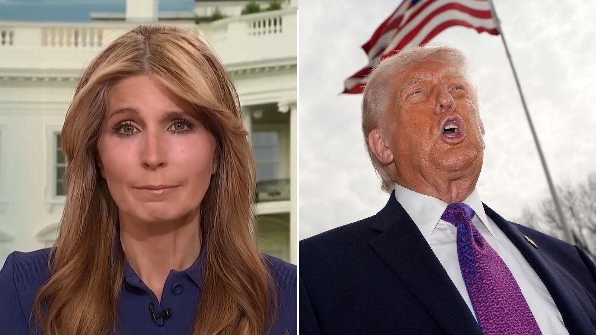 Composite photo of Nicolle Wallace and Donald Trump.