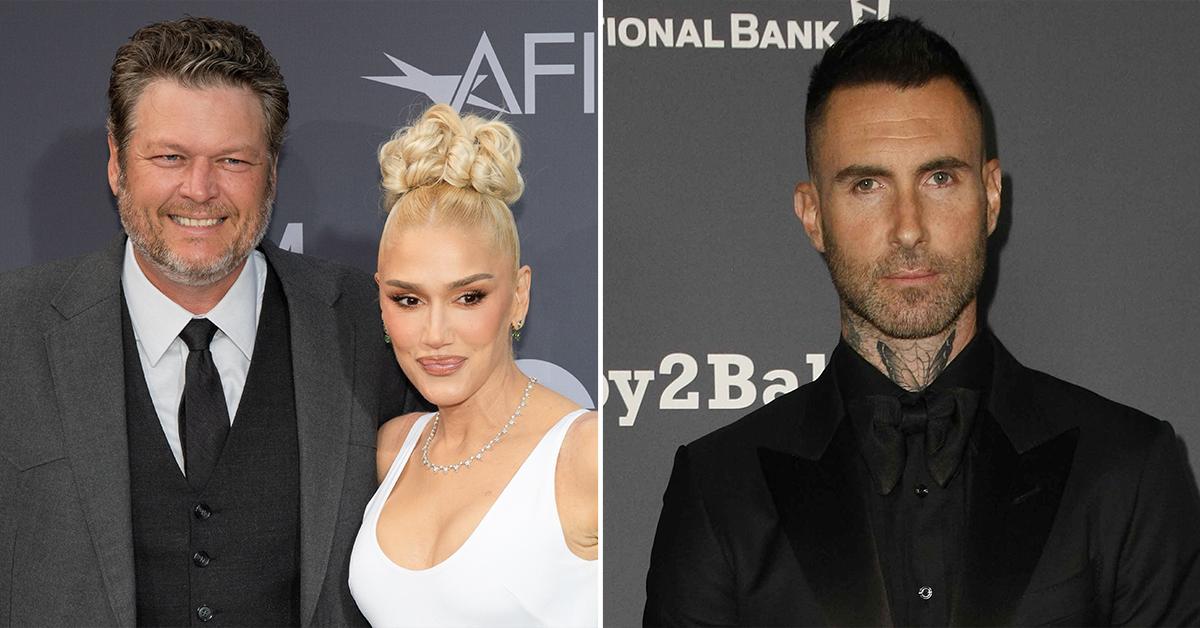 Gwen Stefani Wants Blake Shelton To Distance From Adam Levine