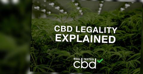 CBD EXPLAINED