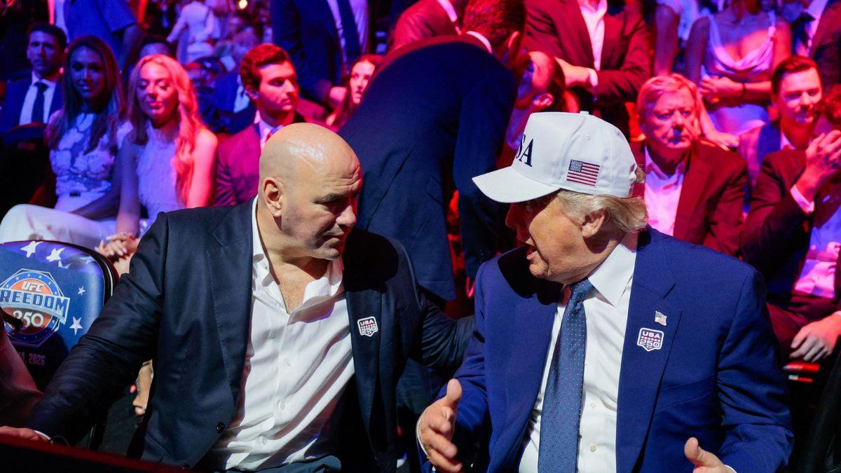 Image of An expert said that the event's brand risks fall more heavily on UFC than on the president.