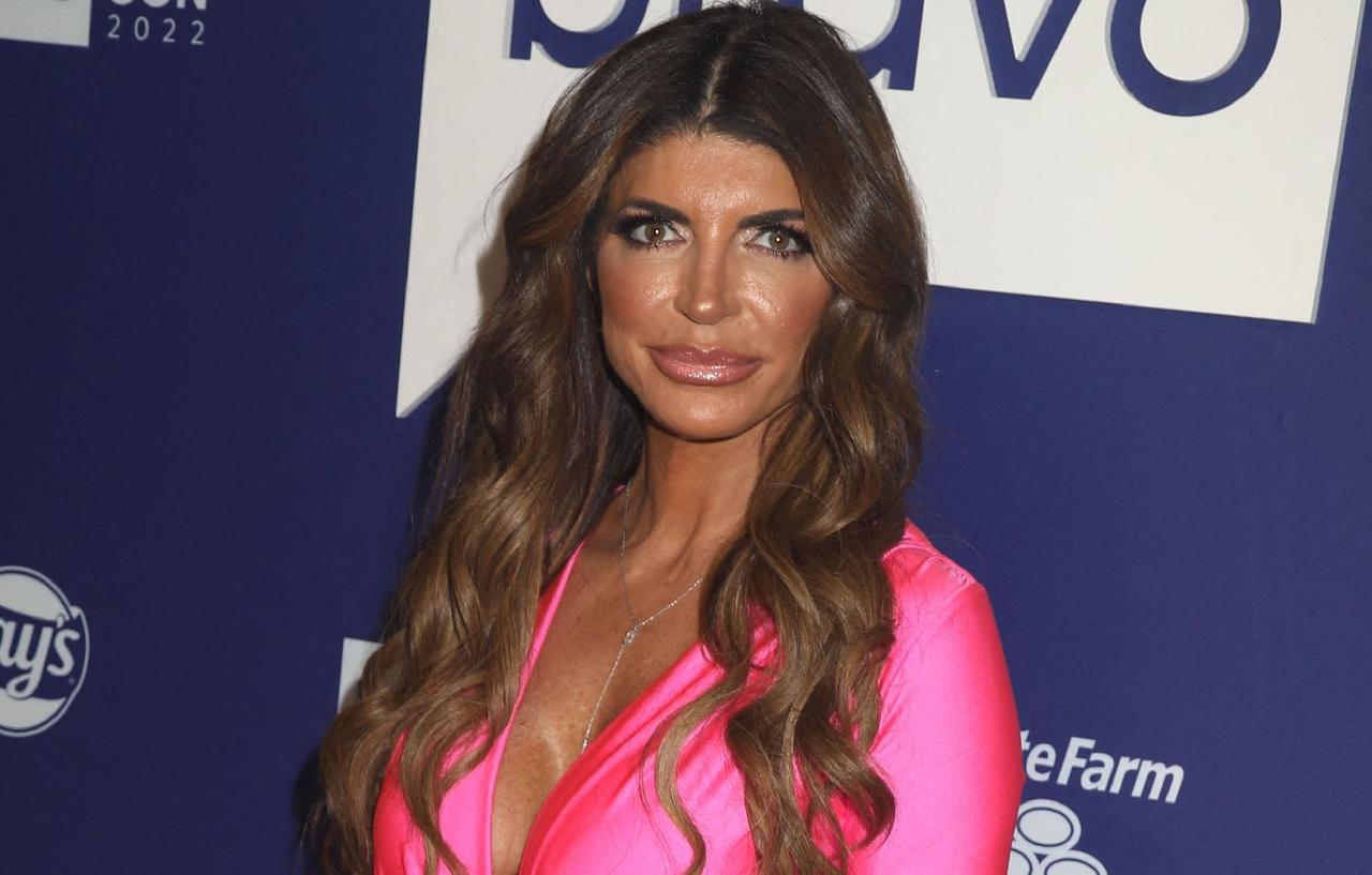 What Is Teresa Giudice's Net Worth? How Star Made & Lost Millions