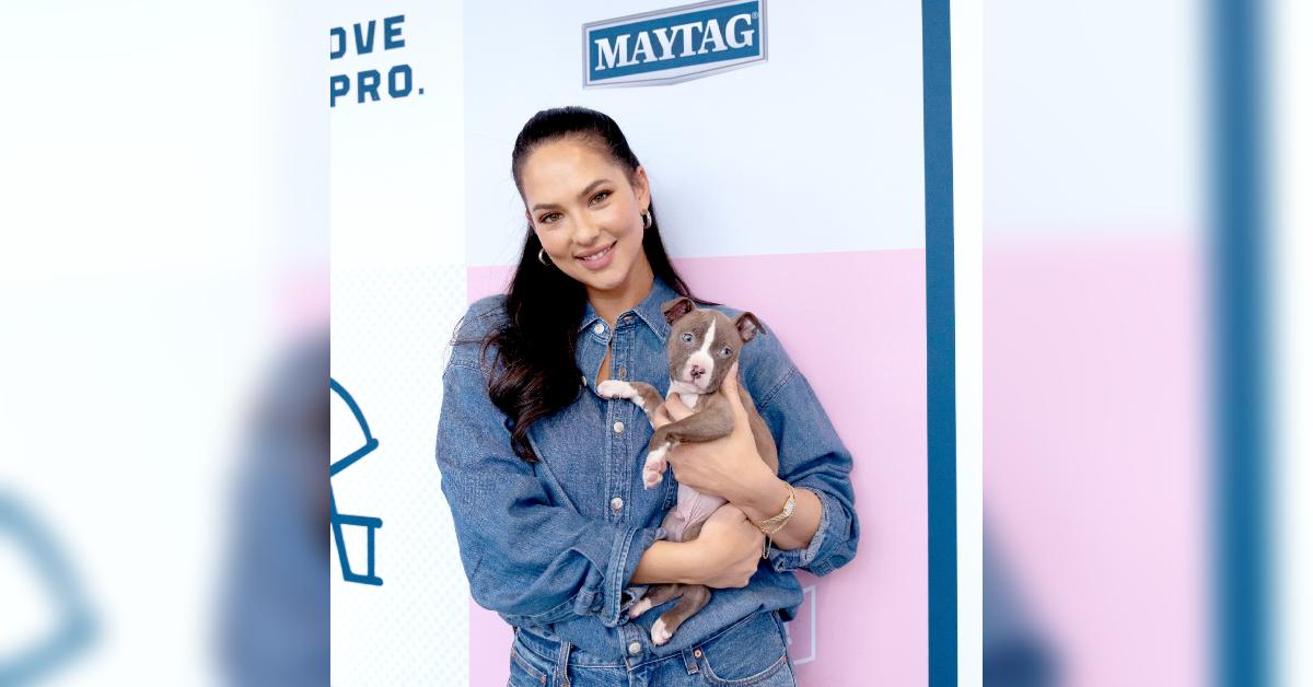 Image of Christen Harper Goff recently partnered with Maytag to host a pet adoption event.