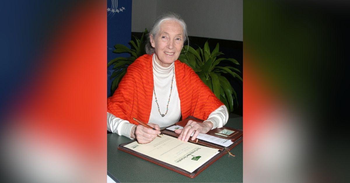 jane goodall life in photos animal welfare activist dead at