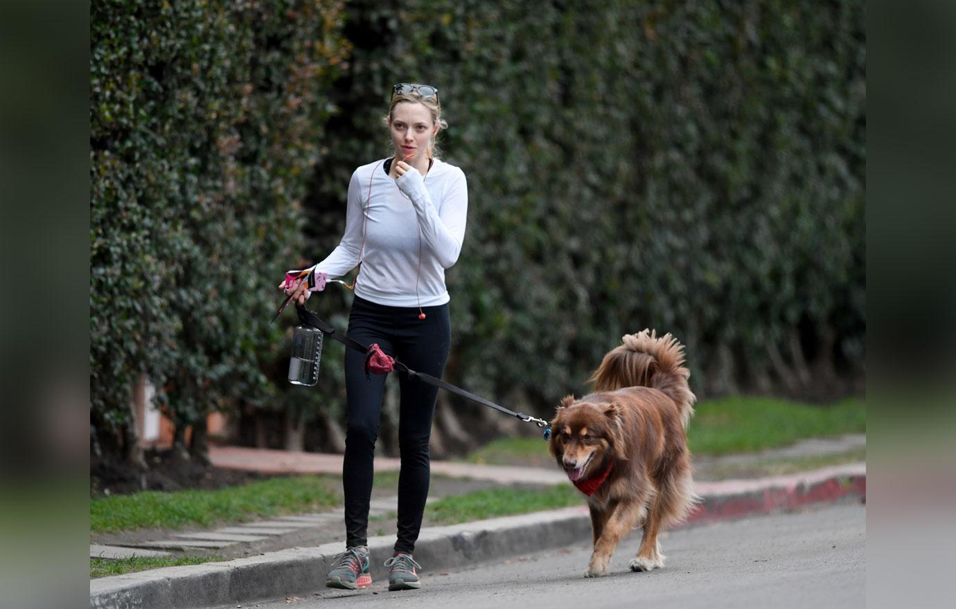 Amanda seyfried dog hike 3