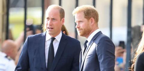 prince william hurt prince harry insulting meghan markle