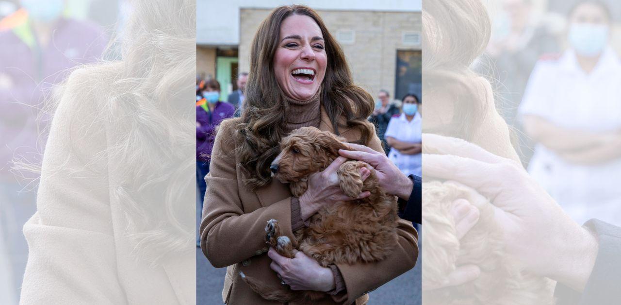 prince william reveals dog sleeps bed kate middleton