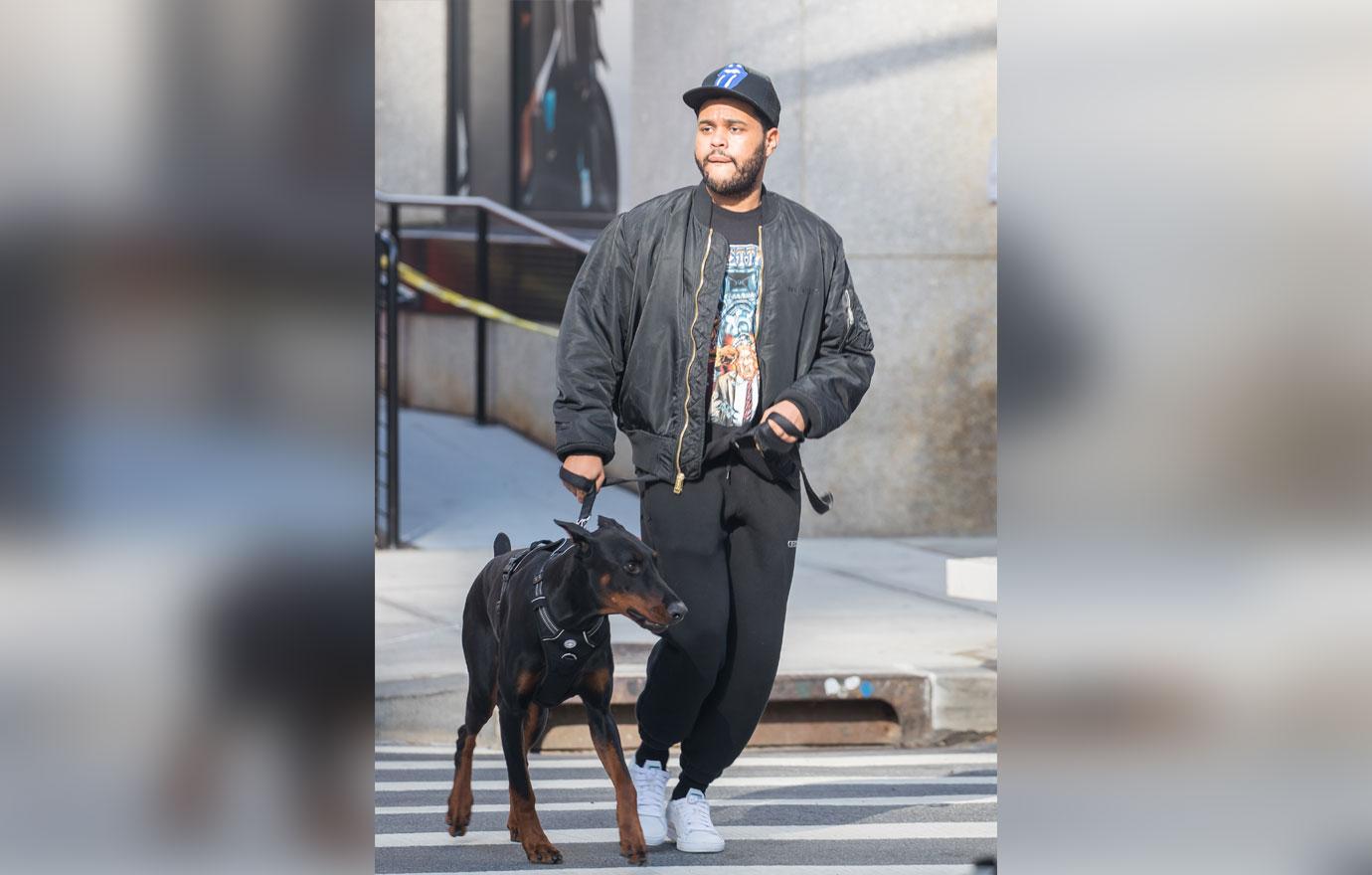 The Weeknd Bundles Up For Dog Walk In Cool NYC Weather: Photo 4175538, The  Weeknd Photos