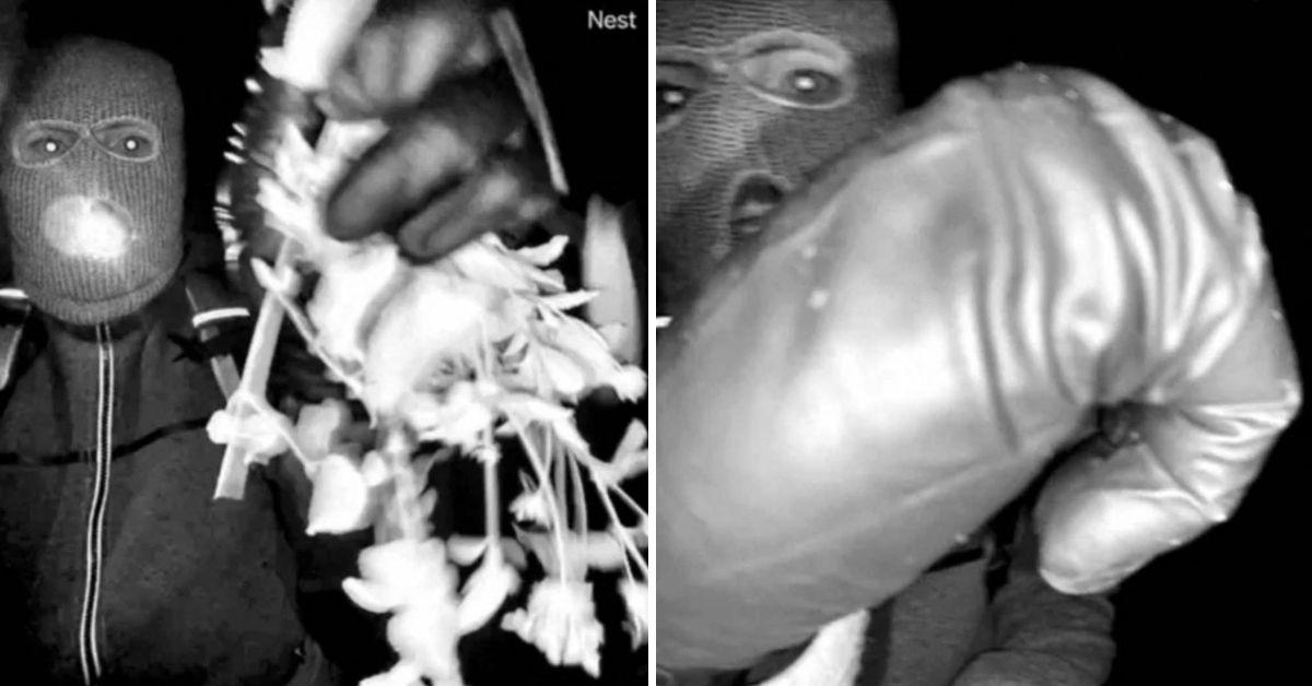 image of Investigators are reviewing Walmart surveillance footage.