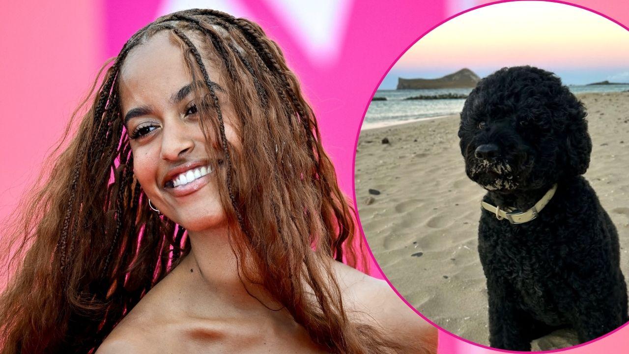 Split photo of Malia Obama and Sunny