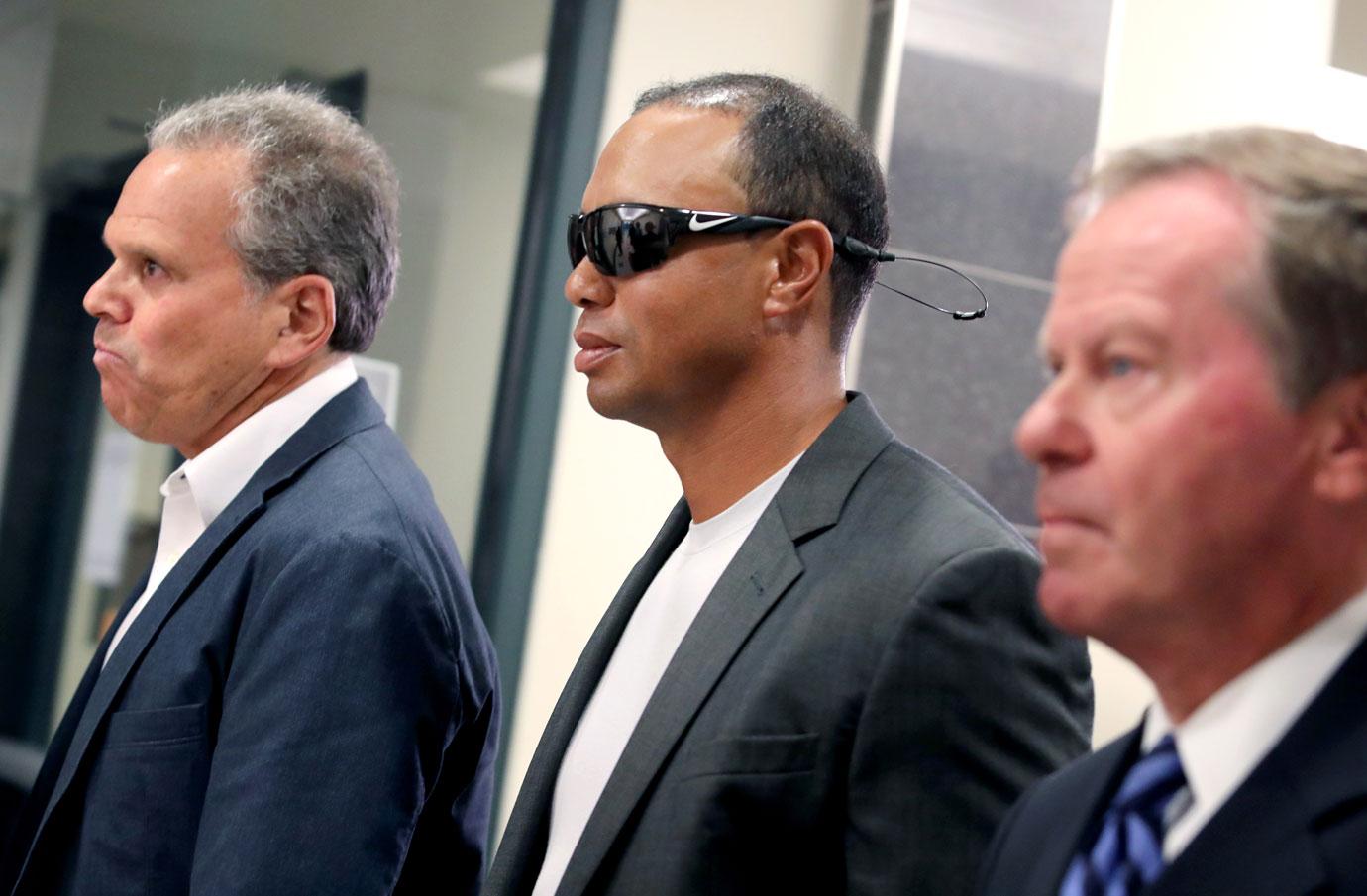 Tiger woods guilty plea