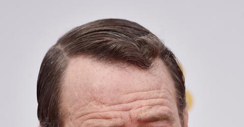 Bryan cranston facial hair