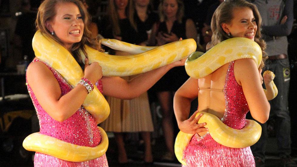 Bindi irwin dwts snake season 21