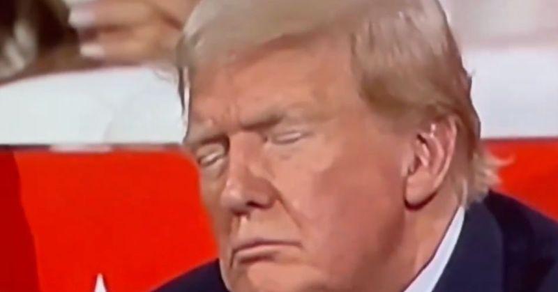 donald trump falls asleep rnc convention