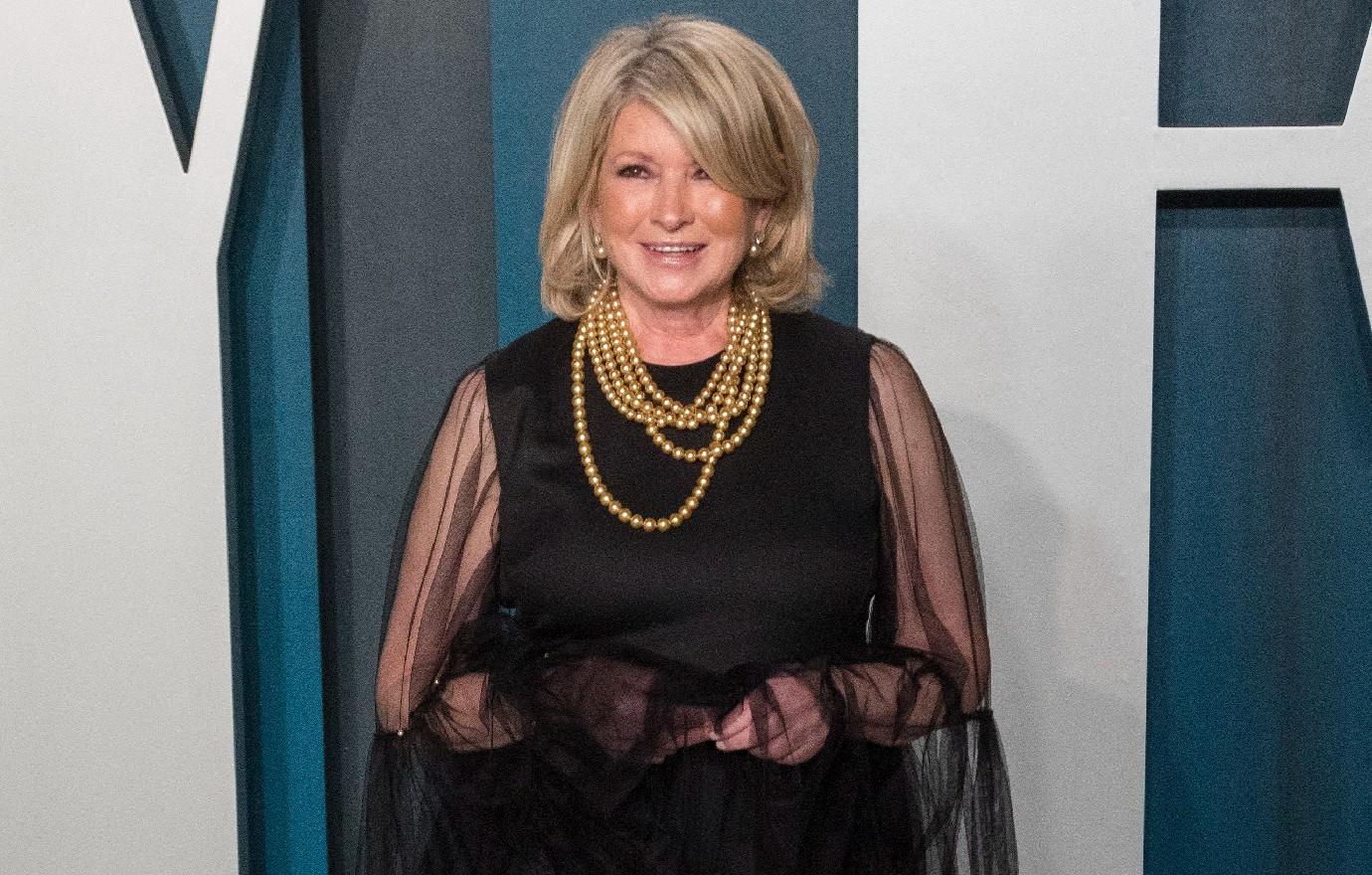 martha stewart trashes netflix lazy documentary flew private jet