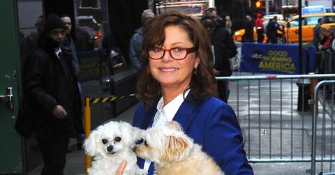 Ok_041713_news susan gallery.jpg