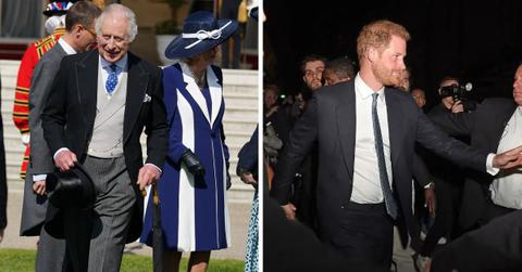 king charles prince harry