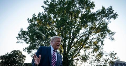 donald trump manic dementia