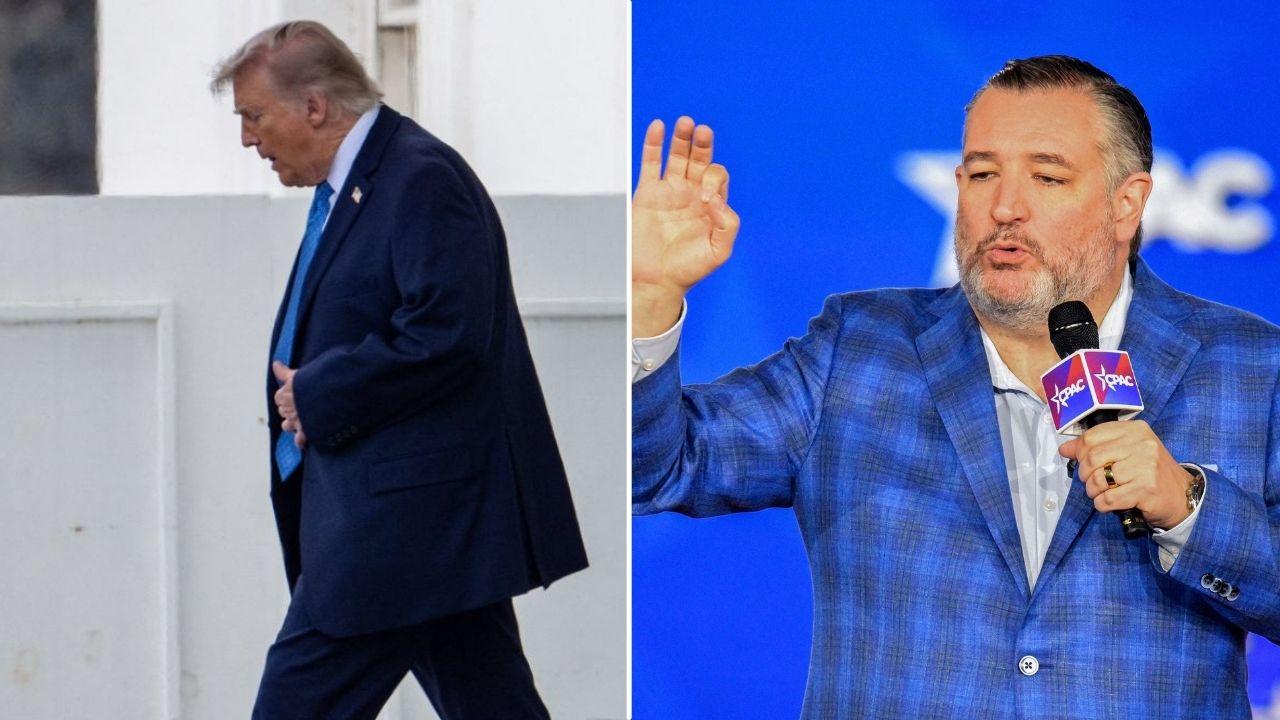 Image of Donald Trump was discussed during Ted Cruz’s interview on 'Pod Force One.'