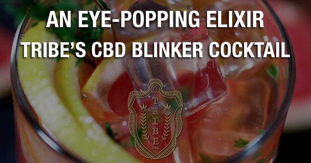 tribe cbd blinker cocktail elixir shop