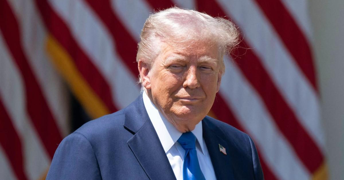 incredibly stupid donald trump eviscerated