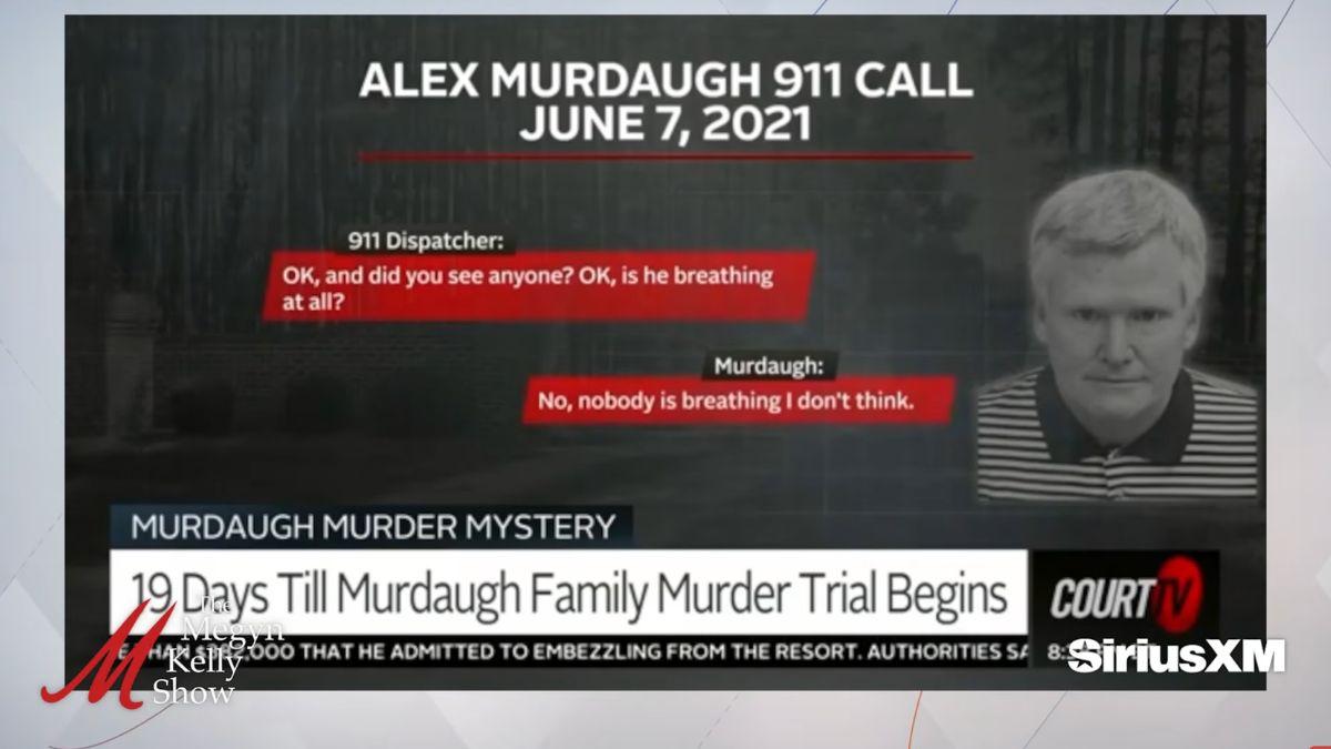 Image of Alex Murdaugh was the one to call police after claiming to find his wife and son dead outside their home.