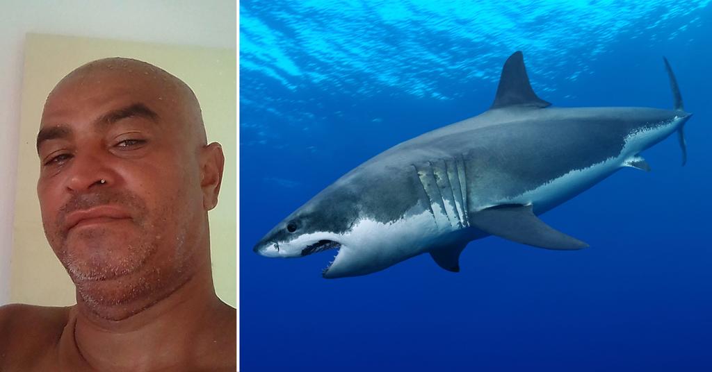 Drunk Man Killed By Shark While Trying To Relieve Himself In Ocean Report