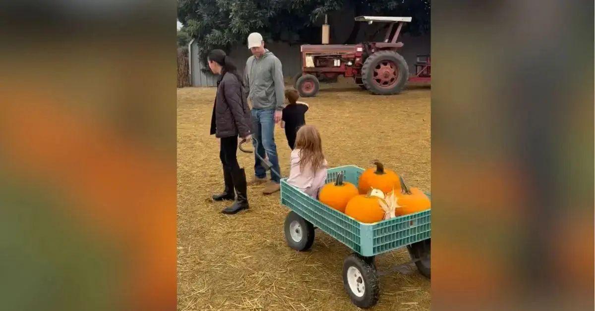 Photo of Meghan Markle shared a video of the family outing to the pumpkin patch in October.