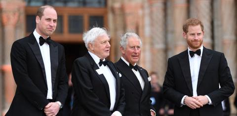 prince harrys comment prince william marriage wounded relationship