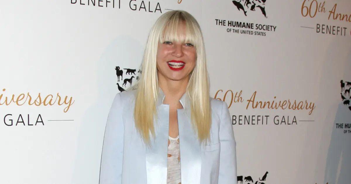 Photo of Sia limited the time between her son and estranged husband because of a child pornography investigation.
