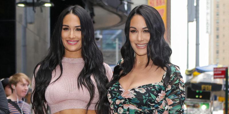 Nikki & Brie Bella Are Both Pregnant & Due Only Two Weeks Apart!