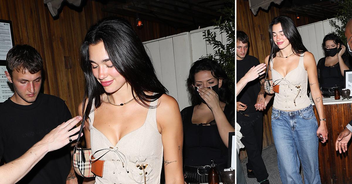 dua lipa and anwar hadid party at the nice guy restaurant with friends