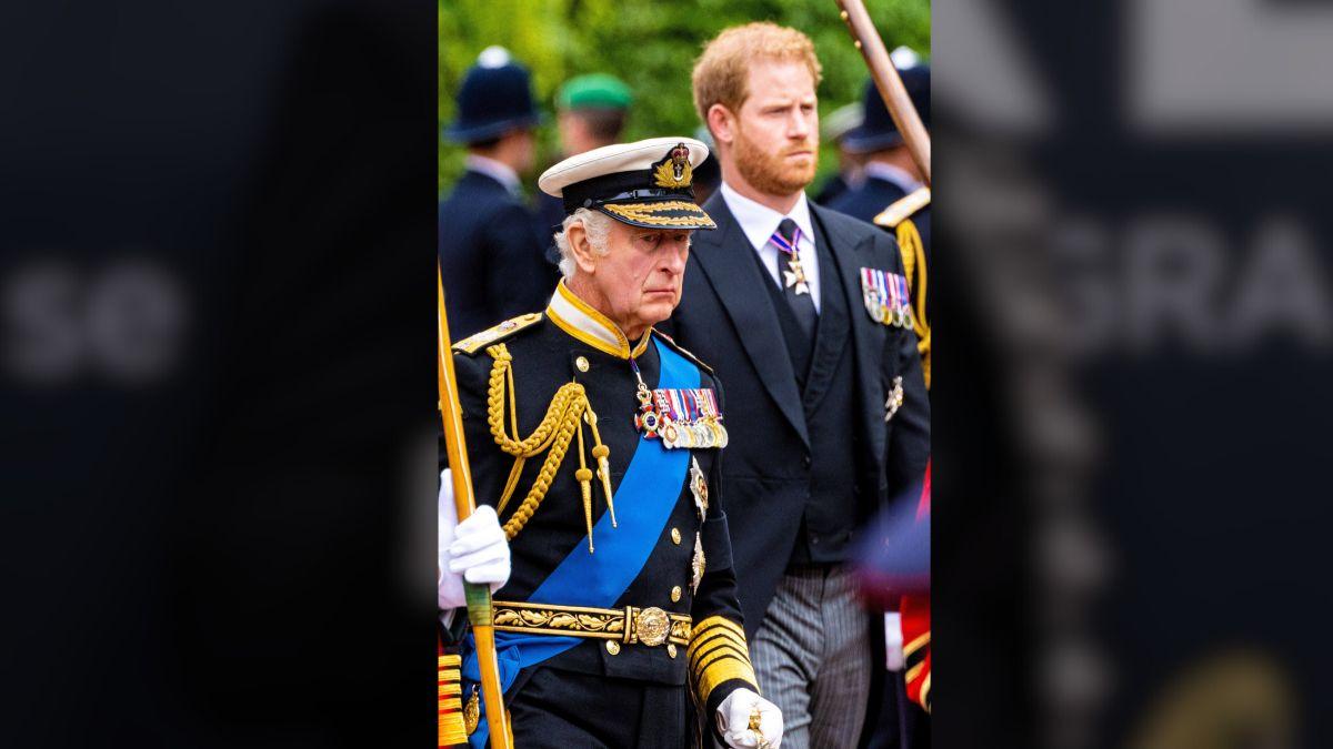 image of prince harry and king Charles