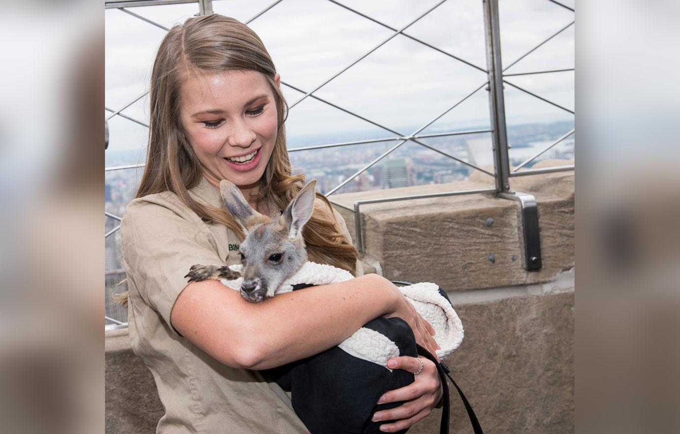 Bindi Irwin Misses Steve