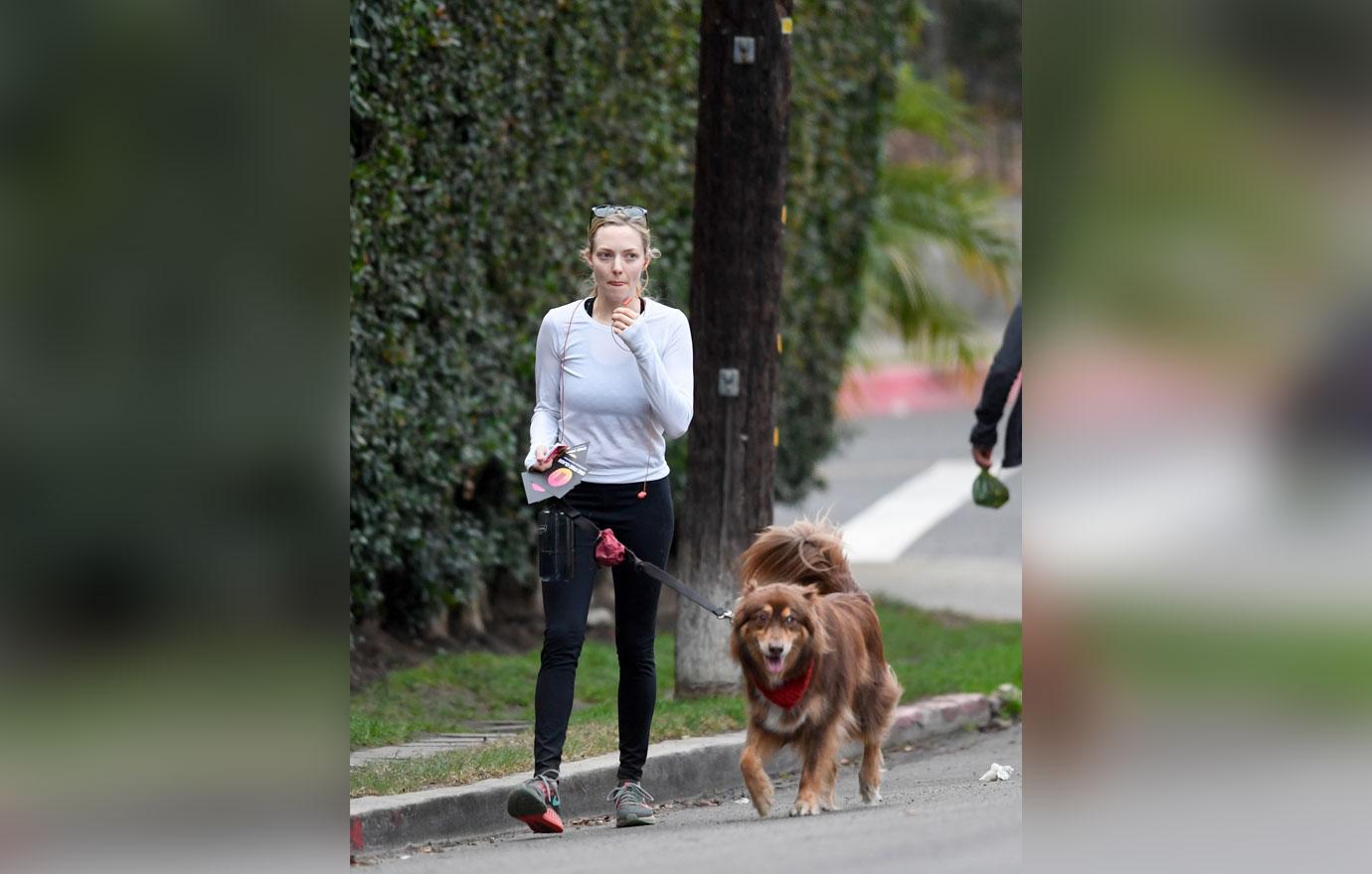 Amanda seyfried dog hike 2